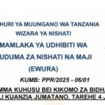 BEI Mpya Za Mafuta ya Petroli Juni 2025